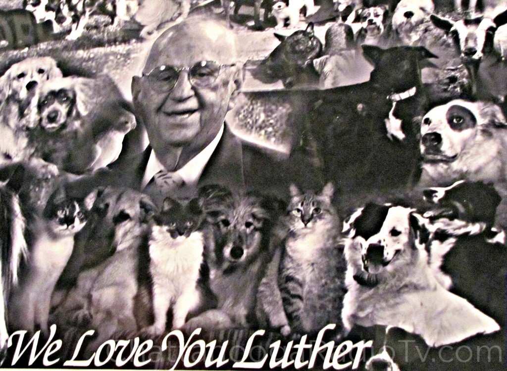 luther-dogs