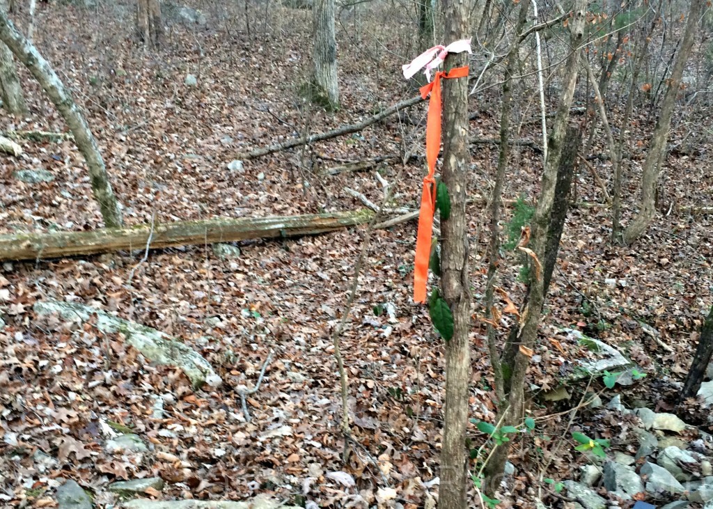 Clue #1: the orange surveyors tape